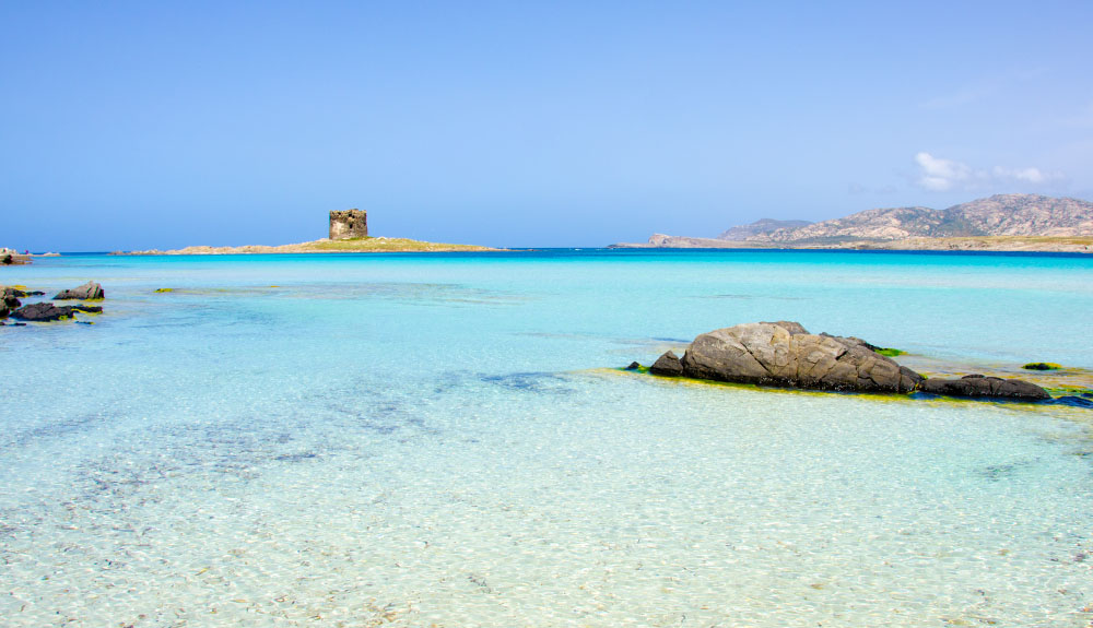 Capo falcone appartamenti stintino